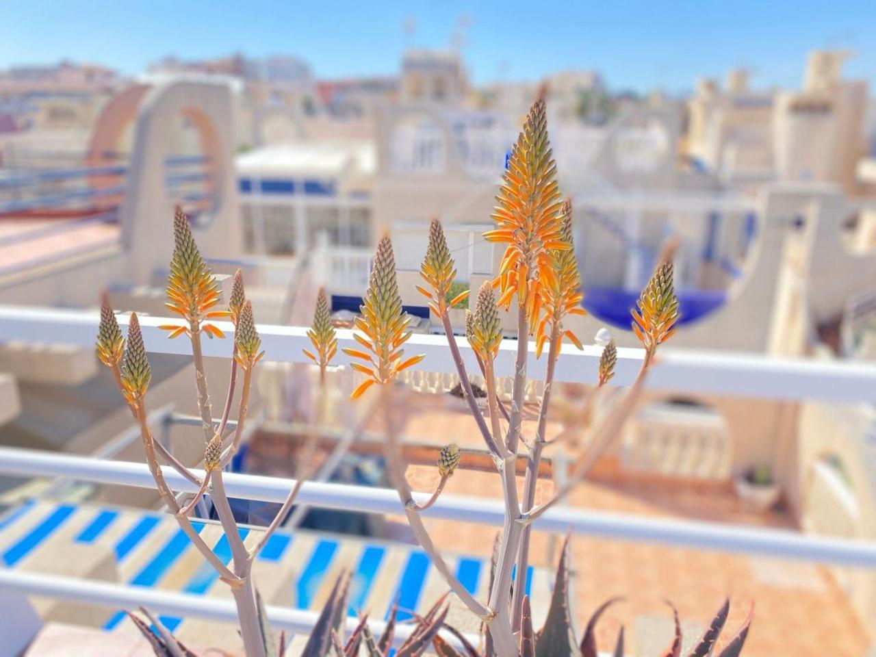 Sea View Apartments Dunas De La Mata ตอร์เรเวียคา ภายนอก รูปภาพ